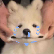 こっちのけんと