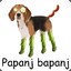 Papanj Bapanj SKINHUB.COM