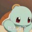 Squirtle 车厘龟