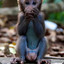 LoveMonkey