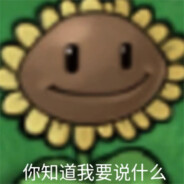 完全符合向日葵的花语