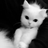 Victor