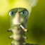 lapai shpaizera