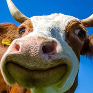Itzz_tobby