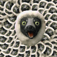 Zoboomafoo