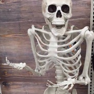 He who lives in a society