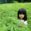 Ellastriess