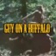(Rev) Guy On A Buffalo