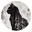 MoonClaw