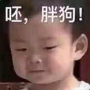 皮皮虾终极皮怪