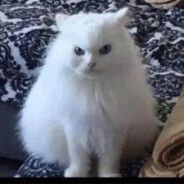 凶残愤怒の白色奶油糕