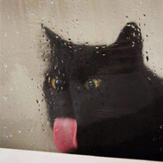 CatNtheFiddle