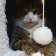 Важный_Соник