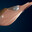 Nimuicc