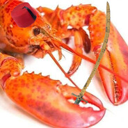 The Ottoman Lobster