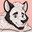 Samoyed