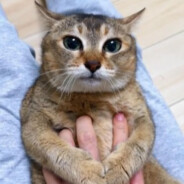 VapeGod xxxTentacion