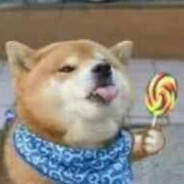 无敌炫酷吊炸天狗子