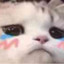 张献忠
