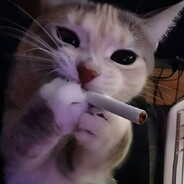 Sijka - steam id 76561199150949161