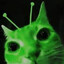turtlemonkey199