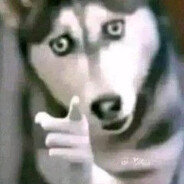 zhyz avatar