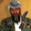 Osama Bin Grubing