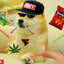 dogethedog17