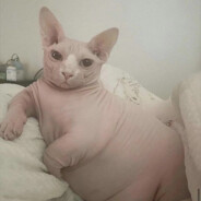 Гном хуекрад