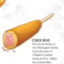 Corn Dog