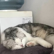 今天不吃夜宵了