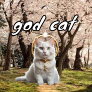 God Cat