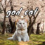 God Cat