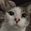BlurryCat