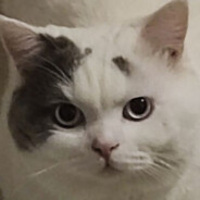 我的头是吸铁石吗？