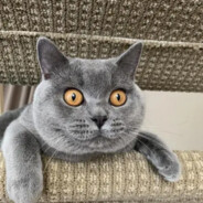玩家头像