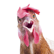 SpicyChicken