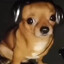 bizzle avatar