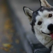 晴天｡̅◕_◕̅｡