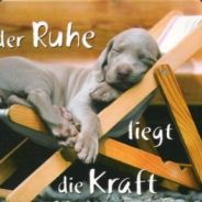 DejaVu - steam id 76561197965513196