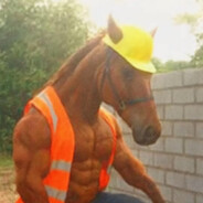 Buff Horse