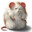Gnome_11