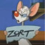 Zort