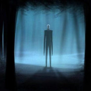 PROFESOR helcase,com