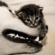 Big Avatar