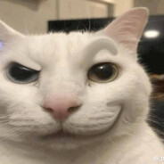 𝓭𝓻𝓸𝓩𝓔𝓦 ⭕⃤ - steam id 76561198140767802