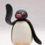 hello im pingu