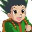 Gon Freecss