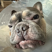 Roberts Asilgarajevs