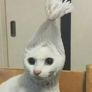 1米85腹肌美男爱上我